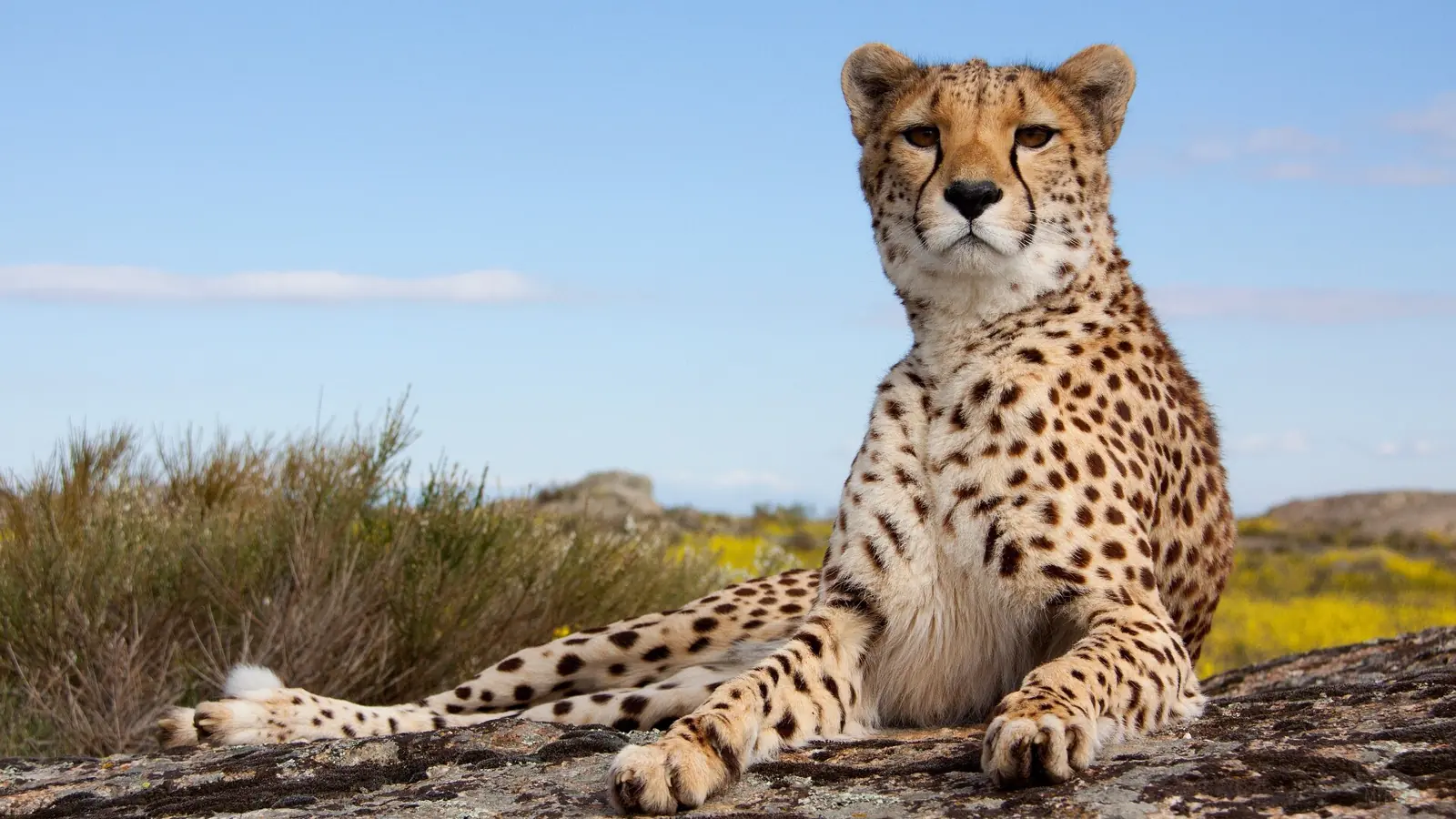 7 DAYS ULTIMATE TANZANIAN WILDERNESS EXPEDITION