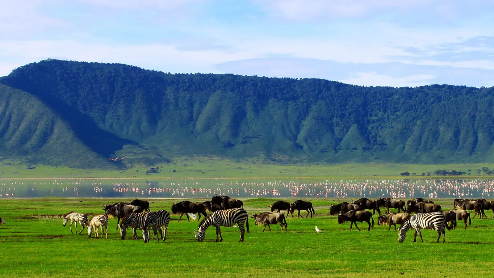 3 DAYS MANYARA NATIONAL PARK, VILLAGE TOUR AND NGORONGORO CRATER SAFARI