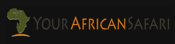 Your African Safari
